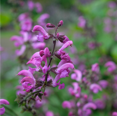 �X���C�_�[03