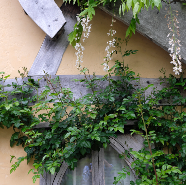 �X���C�_�[04