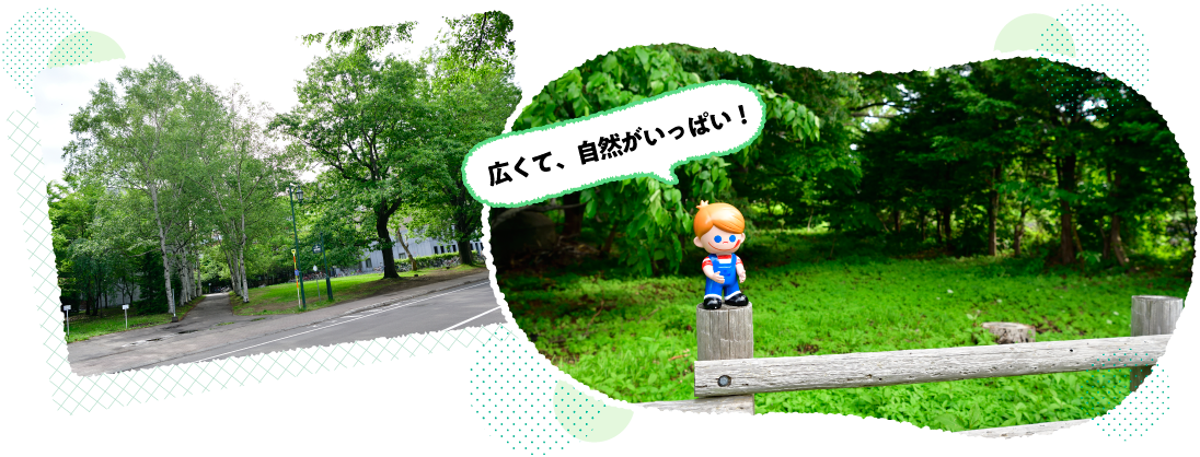 �k�C����w�G���A