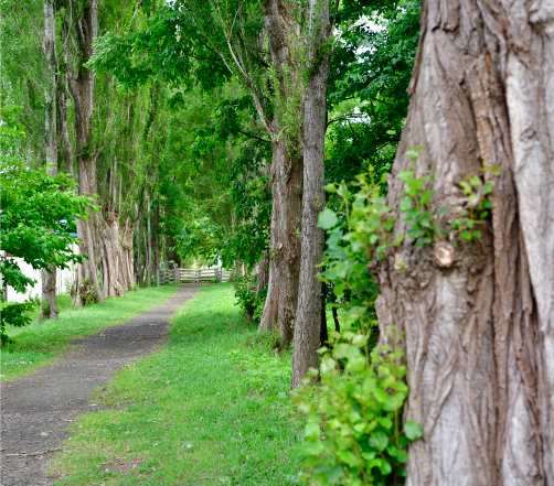 �|�v������