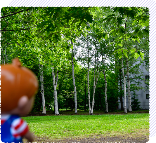 �����̕���