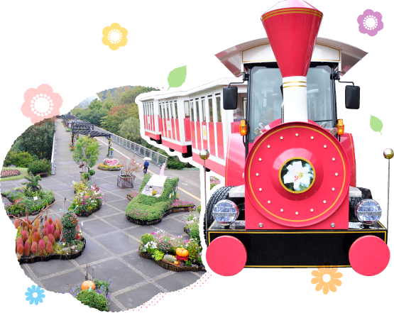 �t�����[�g���C��