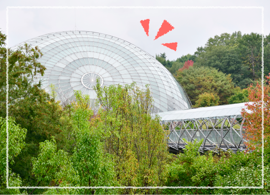 �t�����[�h�[��