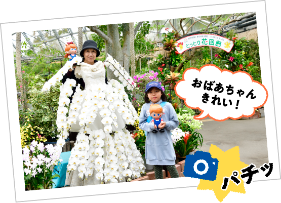 �Ӓ����̃h���X