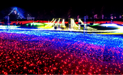 �t�����[�C���~�l�[�V����