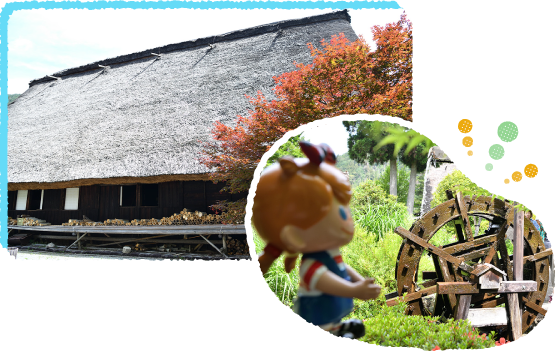 ����ˉƏZ��