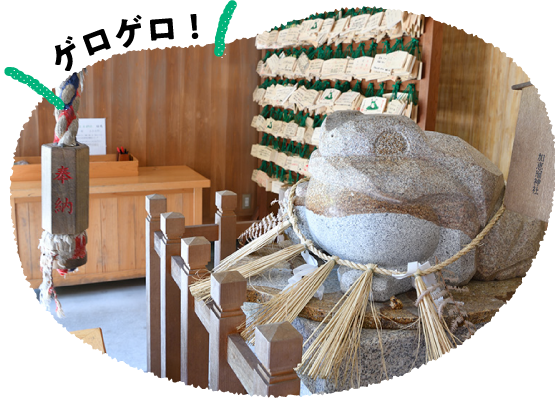 ���b�ڐ_��