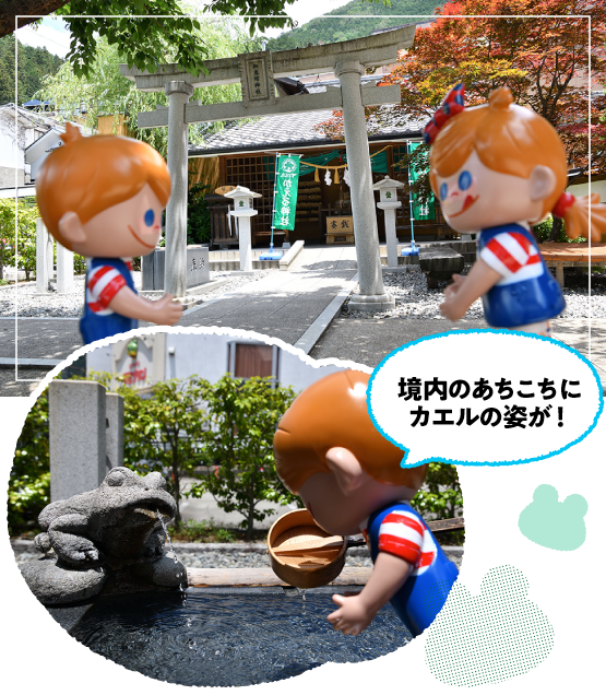 ���b�ڐ_��