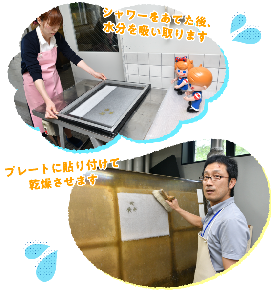 �������̌�