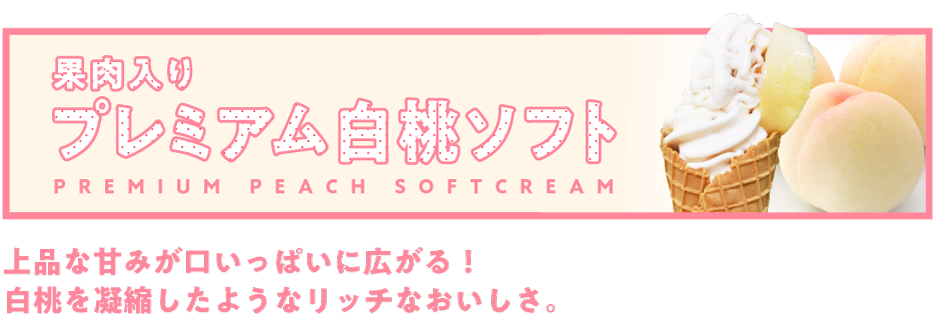 �ʓ�����v���~�A�������\�t�g