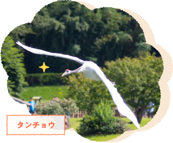 �^���`���E