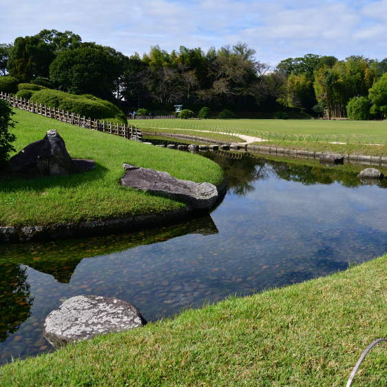 ���R��y��