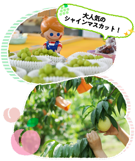 �߂��̊ό��_������͂����{�̃t���[�c�������������ł��܂��B