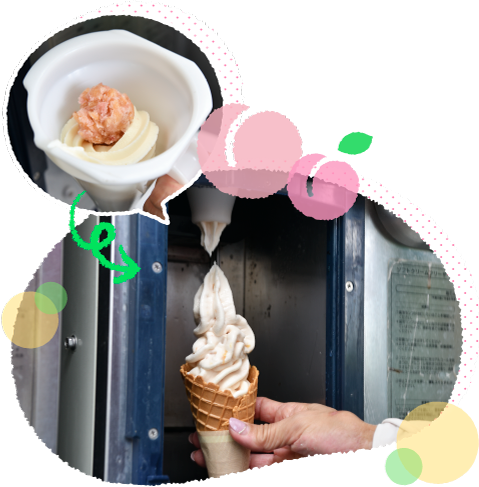 ���������u�ʓ�����v���~�A�������\�t�g�v�������Ă��������܂����B