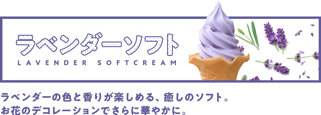 ���x���_�[�\�t�g