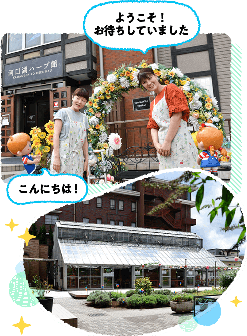 �L���ȃn�[�u�ɕ�܂ꂽ��ԂŃ����b�N�X���B