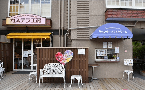 ���҂������܂����I����ł́u�͌��΃n�[�u�فv�̂����n�\�t�g�����������܂��傤�B