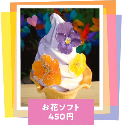 �ԃ\�t�g450�~