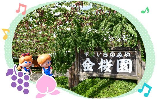 �b�ア���݂̂������