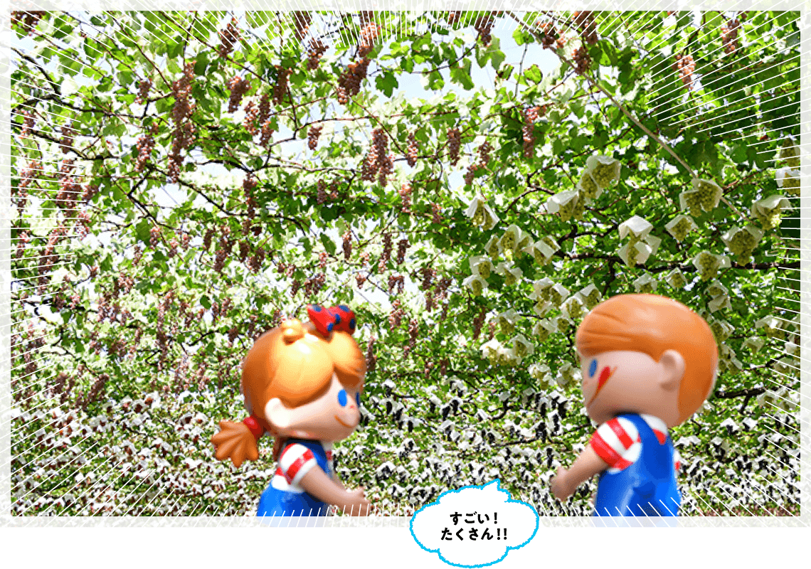 �_���̓���������R�̂Ԃǂ�������A�����̌��i�������Ă���܂��B