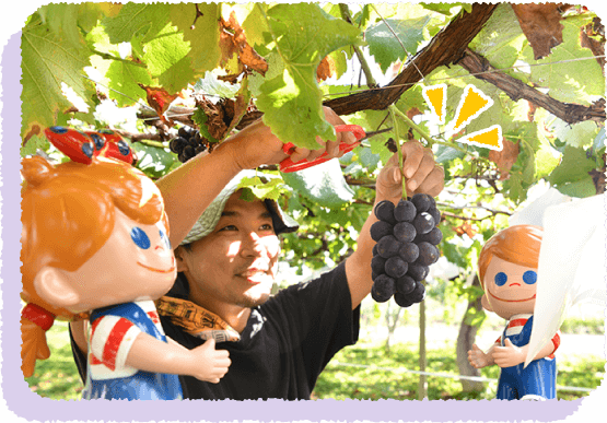 ���������A�Ԃǂ����Ƀg���C�I