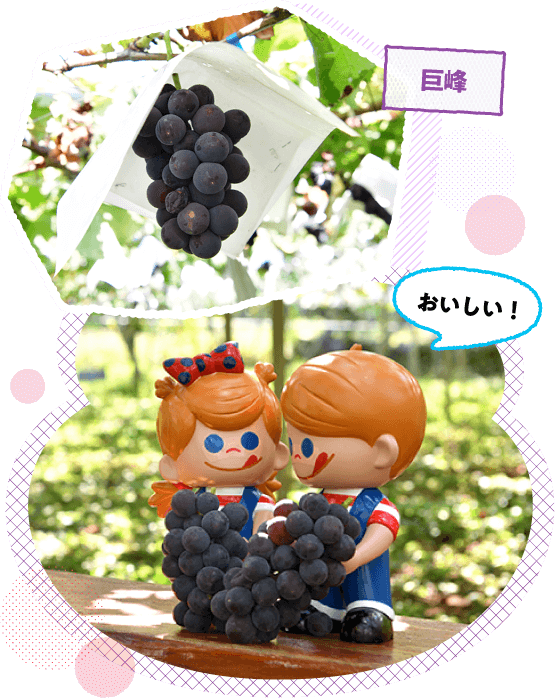 ���{��̂Ԃǂ��̎Y�n�A�R�����̕��������Ȃ���H�ׂ鋐��͊i�ʂł��I