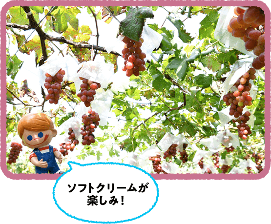 ������́A�b��H�i�������j�Ԃǂ��I���N9�����{��������n���y���߂܂��B