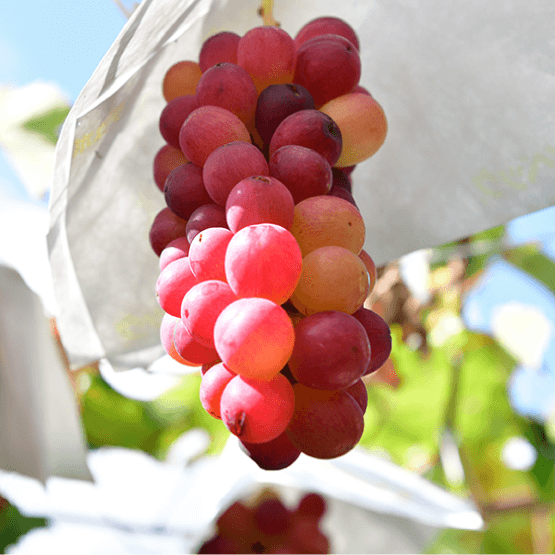 �X���C�_�[02