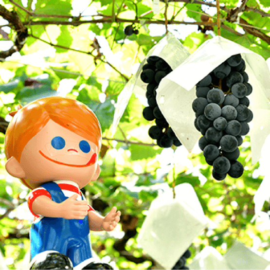 �X���C�_�[05