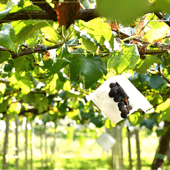 �X���C�_�[06