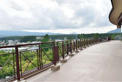 �͌��΃n�[�u��