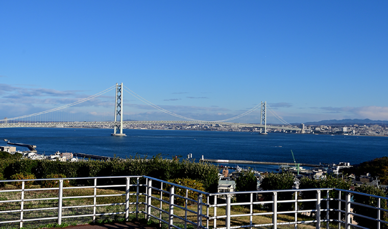 �W�H���̓��������唗�͂̌��i�������Ă���閾�ΊC���勴�����ꂩ��̗��̊��Ҋ������߂Ă���܂��B