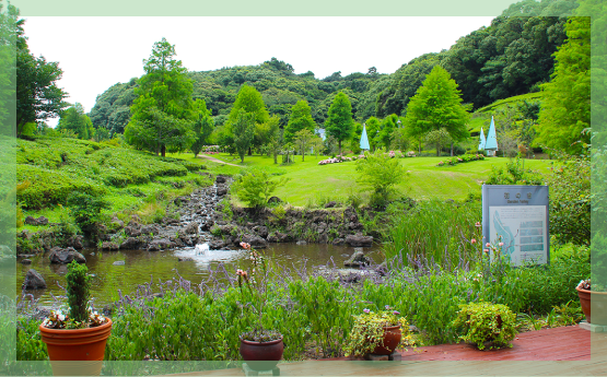 �Ԃ̒J�i���Ɍ����W�H�������j