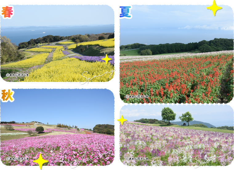 �t�͉��F���O�~��~���l�߂��悤�ɋu��ʂɍ؂̉Ԃ��炭���i�͈����̔������B�����ł͔N��3��A���ւ����s���A�l�G�܁X�̉ԁX���y���߂܂��B