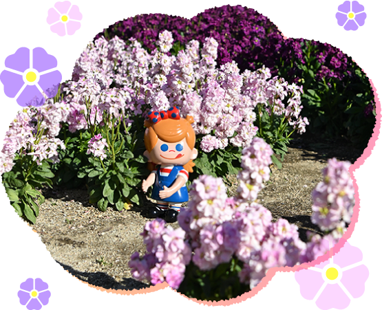 �X�g�b�N�ƃZ�C�`����