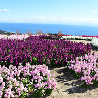 �X���C�_�[06