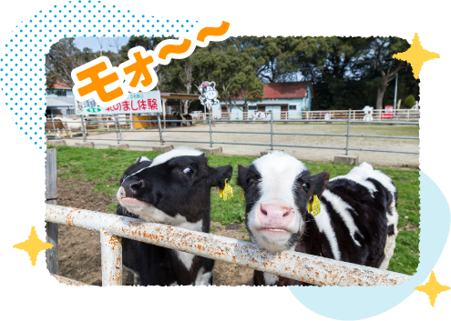 ���Y�n�ł���W�H���q��i�삠�킶�s�j���l�C�̃X�|�b�g�ł��B