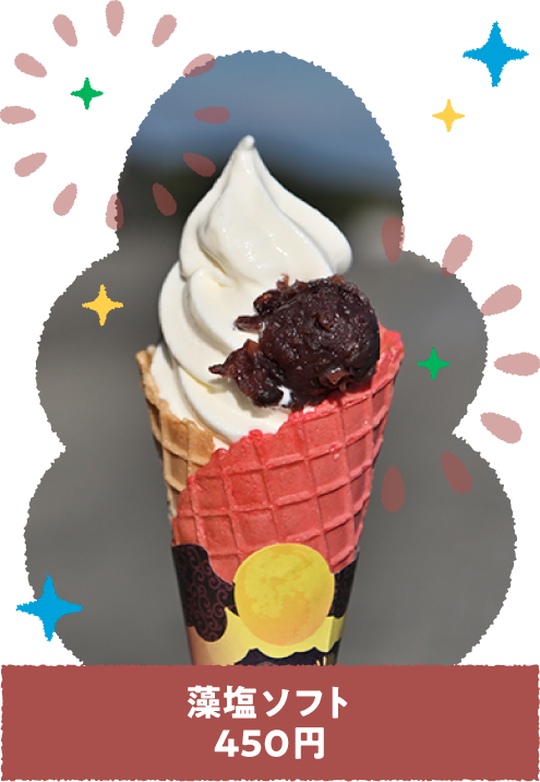 �����\�t�g450�~