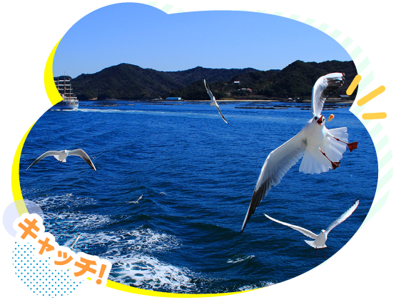 �Ԃ̒J�i���Ɍ����W�H�������j