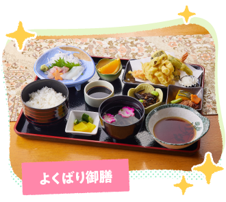 �{�̂������g����������