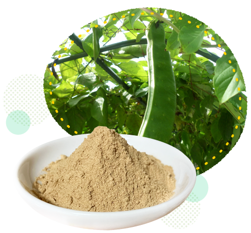 �Ȃ����A�Ȃ�����