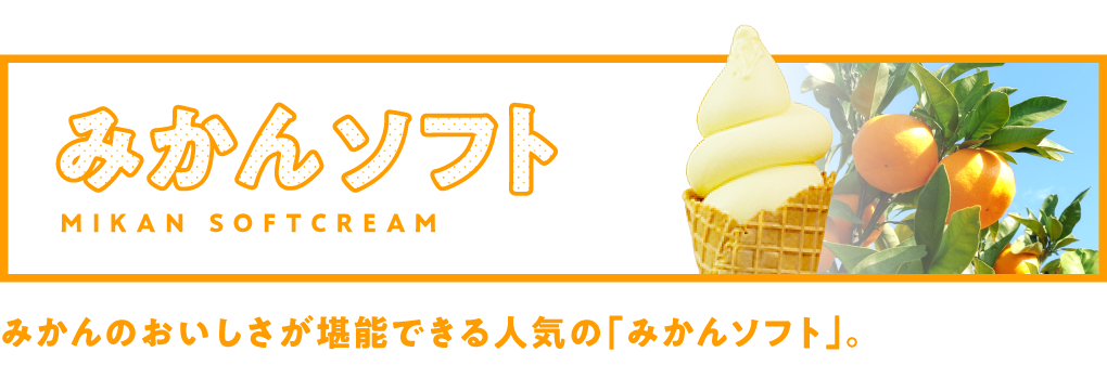 �݂���\�t�g