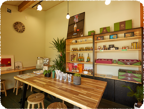 M.CITRUS�̓���