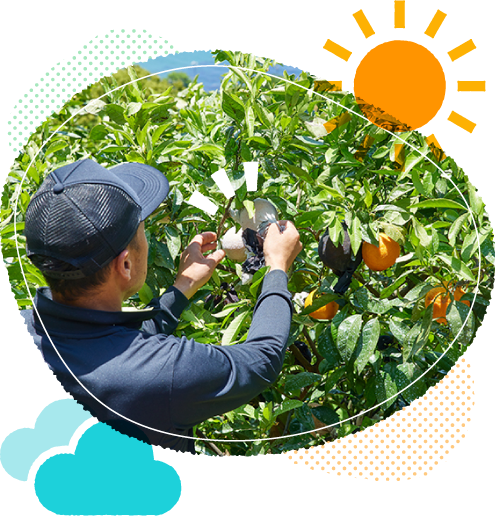 ���n����l�q