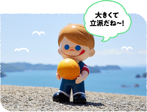 �傫���ė��h����?�I