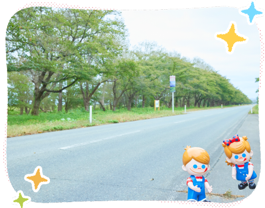 �����؂ƍ؂̉ԃ��[�h