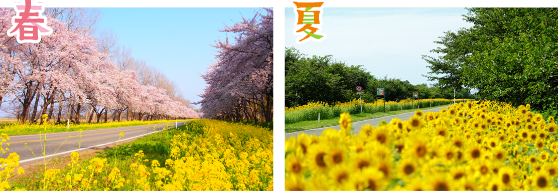 �����؂ƍ؂̉ԃ��[�h �t�E��