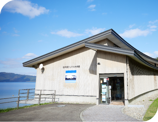 �c��΃N�j�}�X������