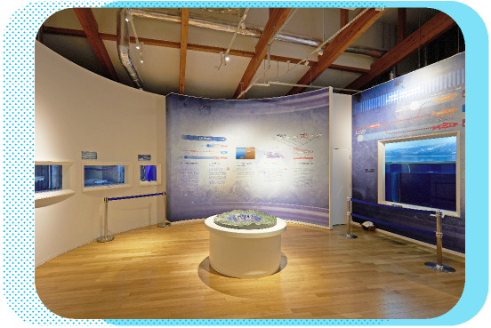 �c��΃N�j�}�X������