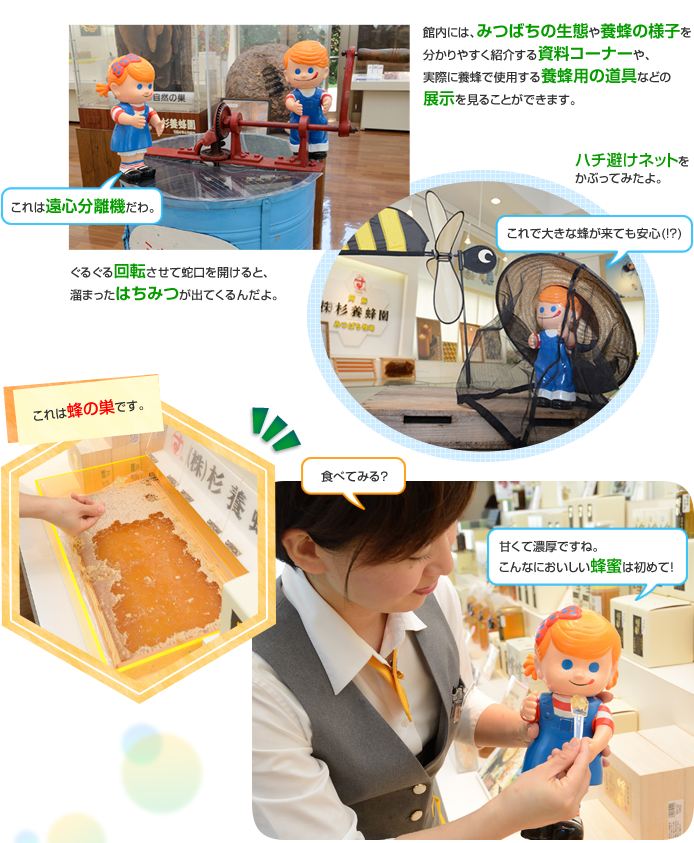 06�@���{�I�� ���h�݂΂��q��03